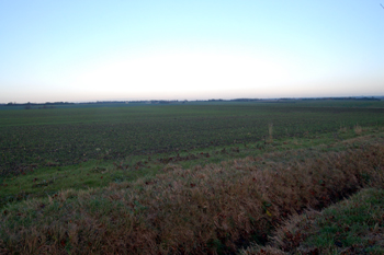 The site of Roman occupation at Mill End December 2009